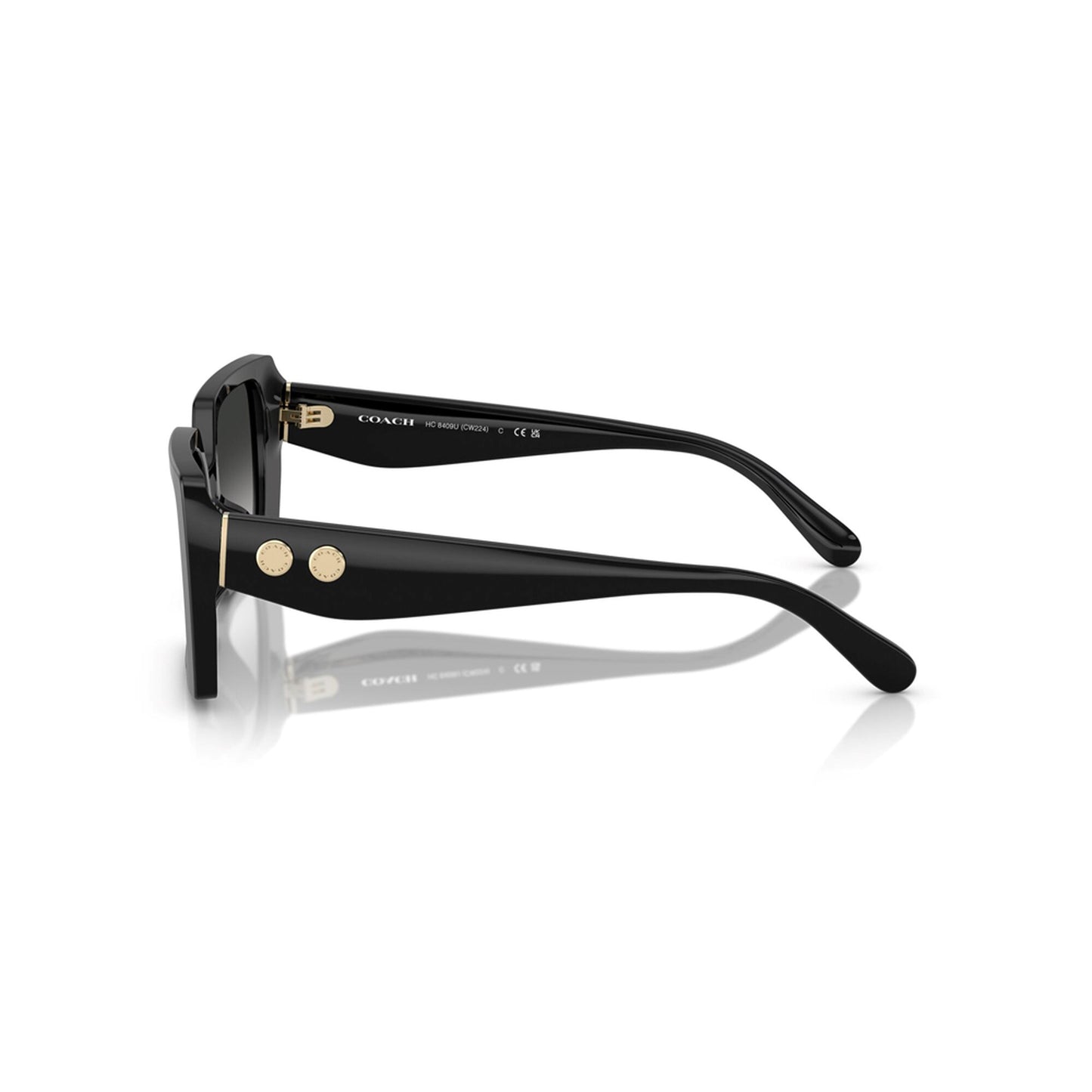Coach Women's Rogue Oversized Square Sunglasses