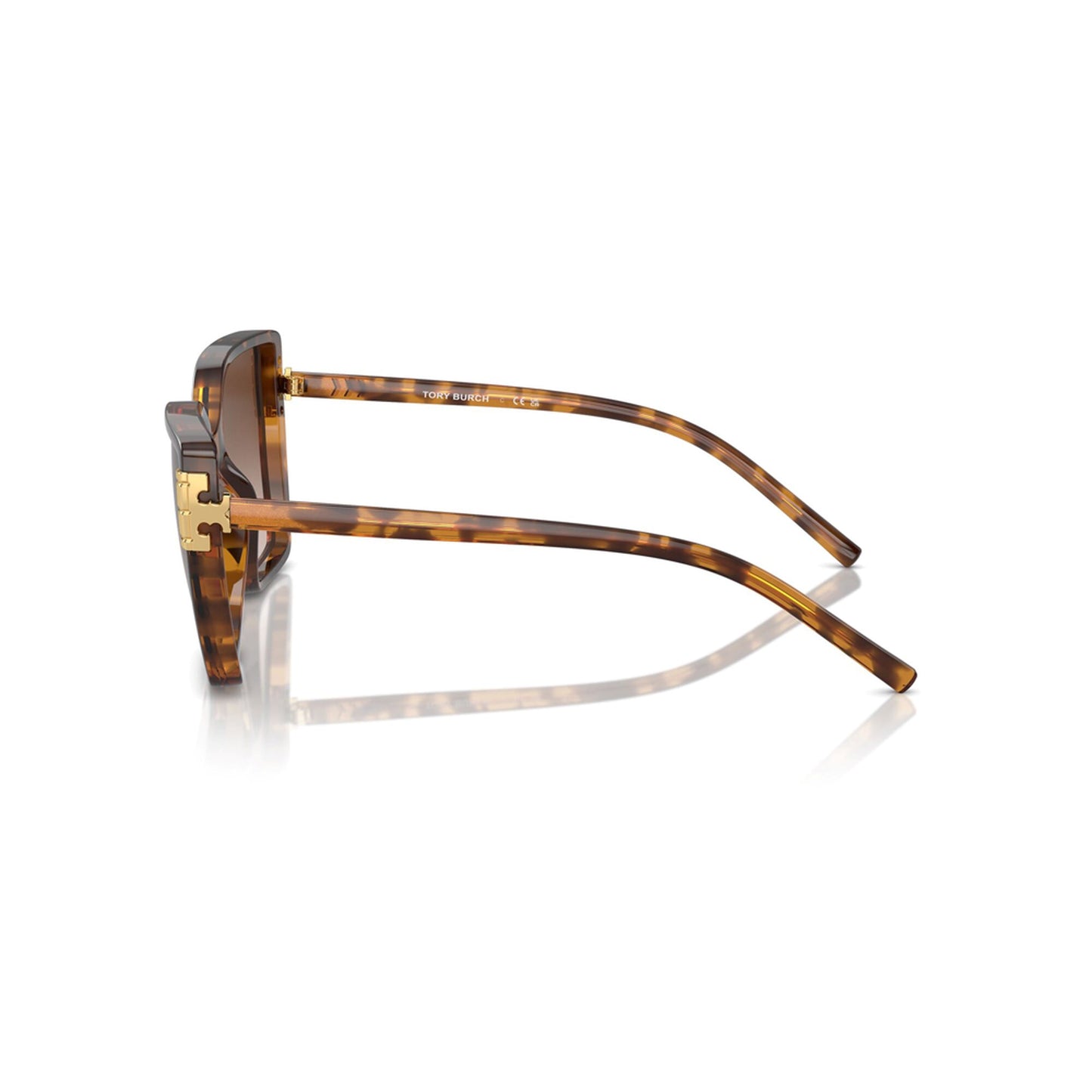 Tory Burch Women's Eleanor Oversized Cat-Eye Sunglasses