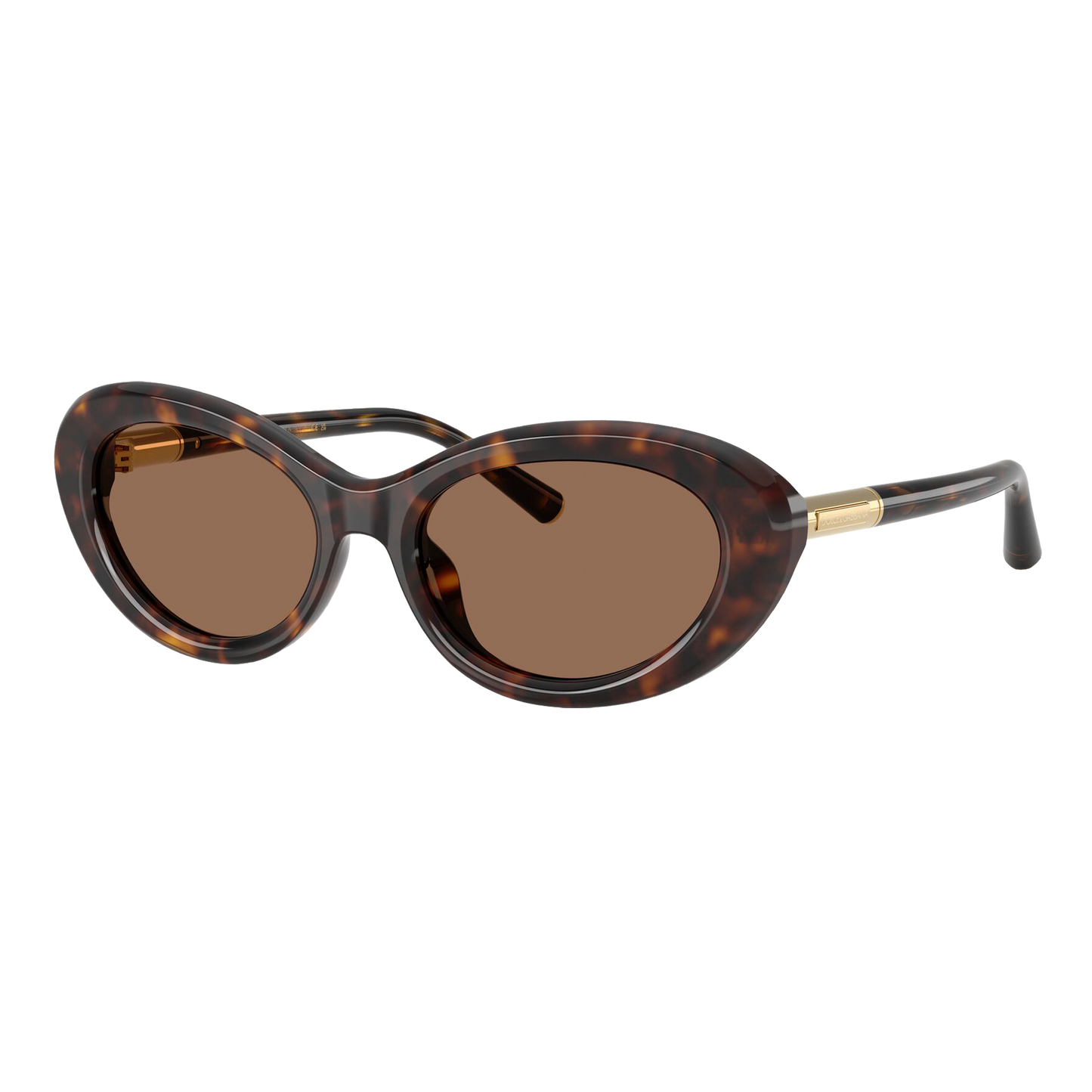 Dolce & Gabbana Women's DG4519 Sunglasses