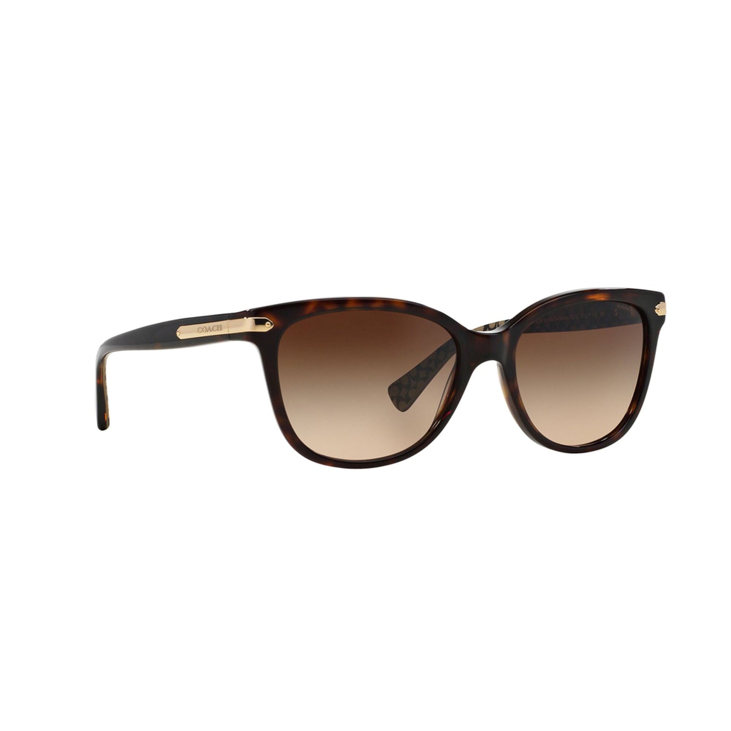 Coach Women's HC8132 Sunglasses