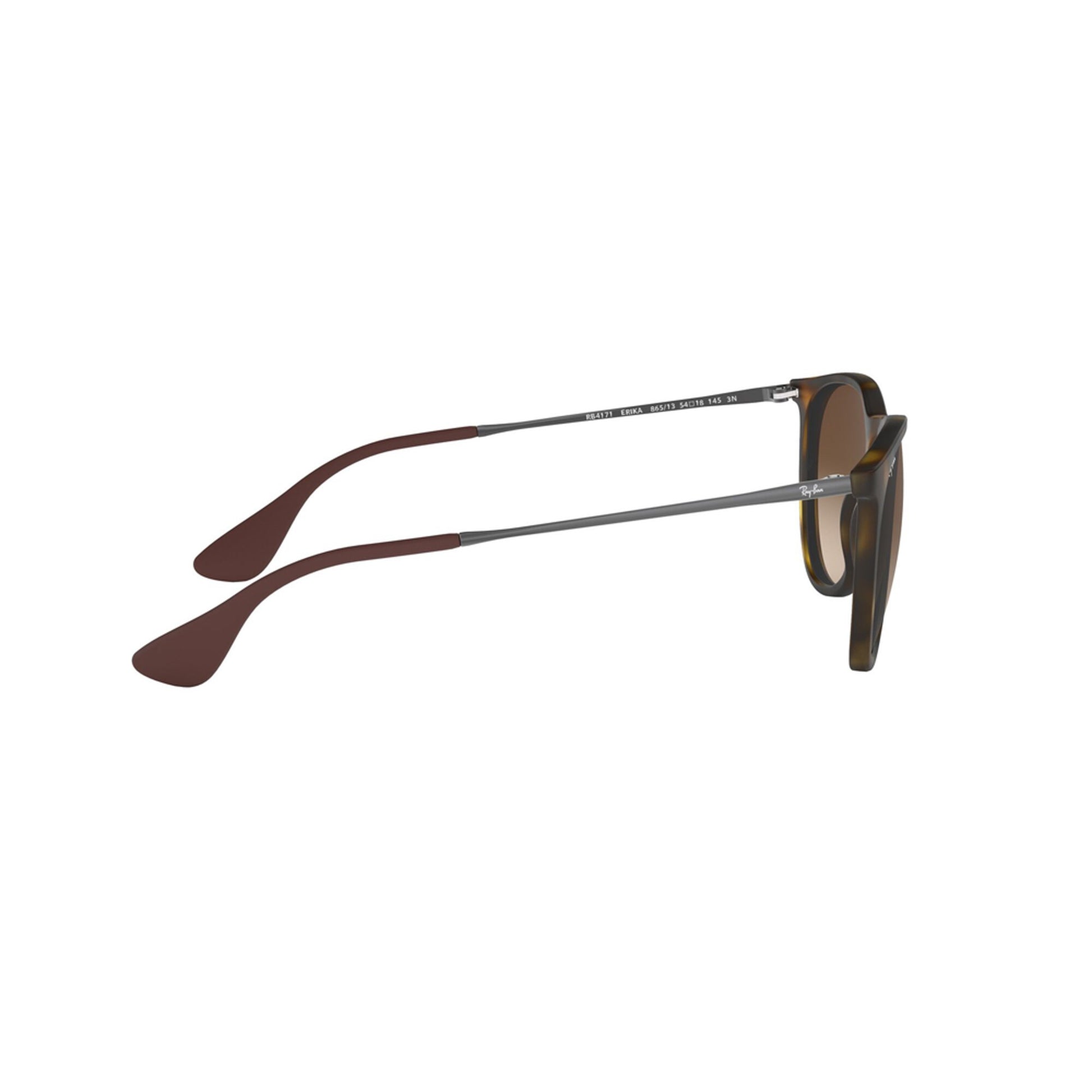 Ray-Ban Women's Erika Sunglasses