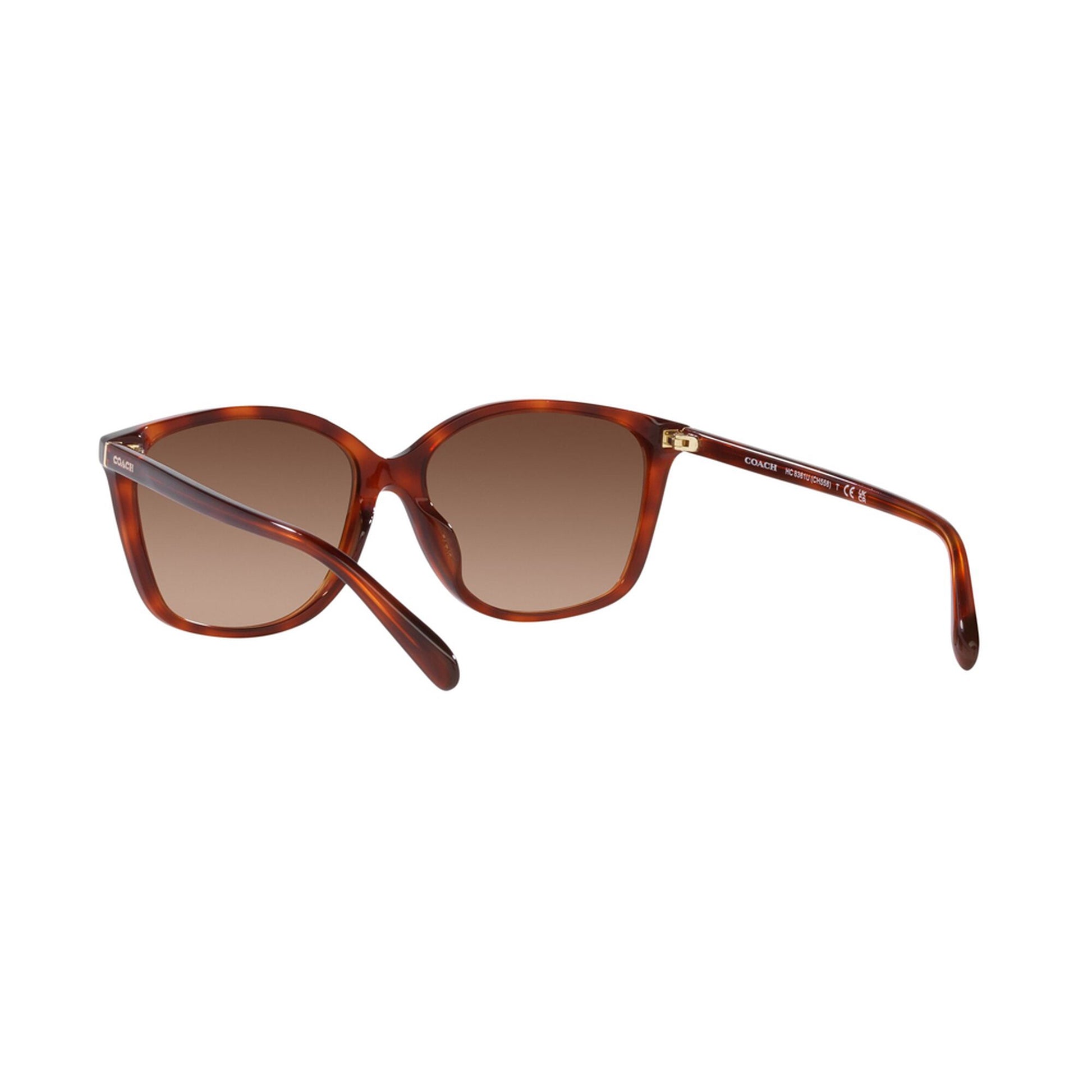 Coach Women's Polarized CH558 Sunglasses