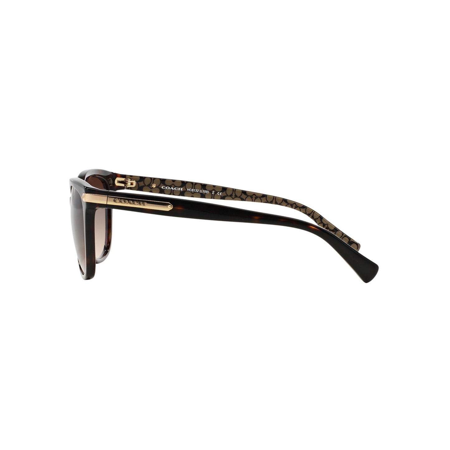 Coach Women's HC8132 Sunglasses