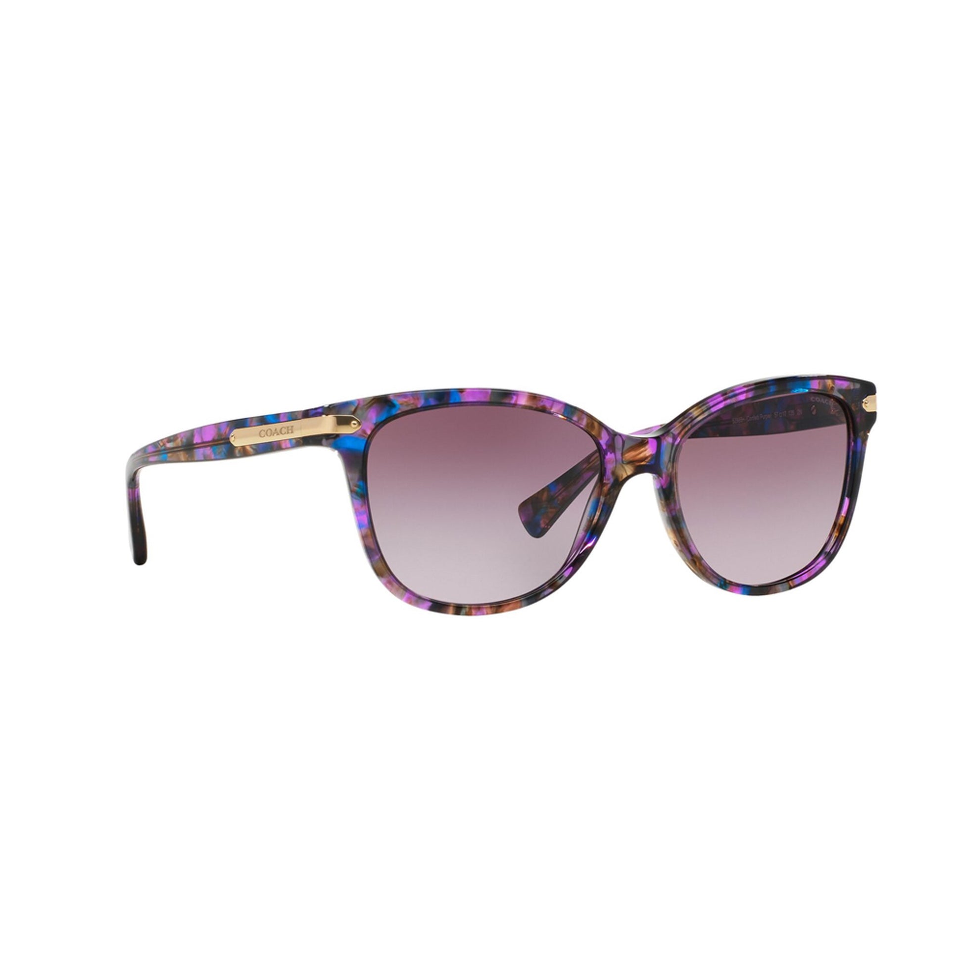 Coach Women's HC8132 Sunglasses