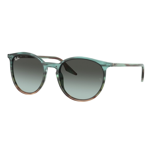 Ray-Ban RB2204 Sunglasses