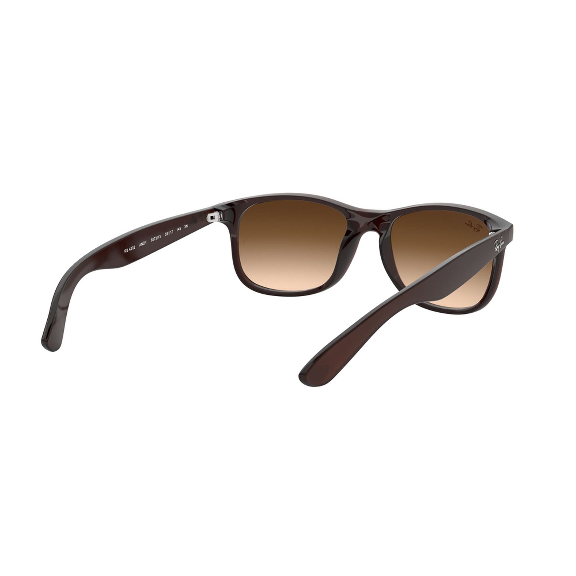 Ray-Ban Andy Sunglasses