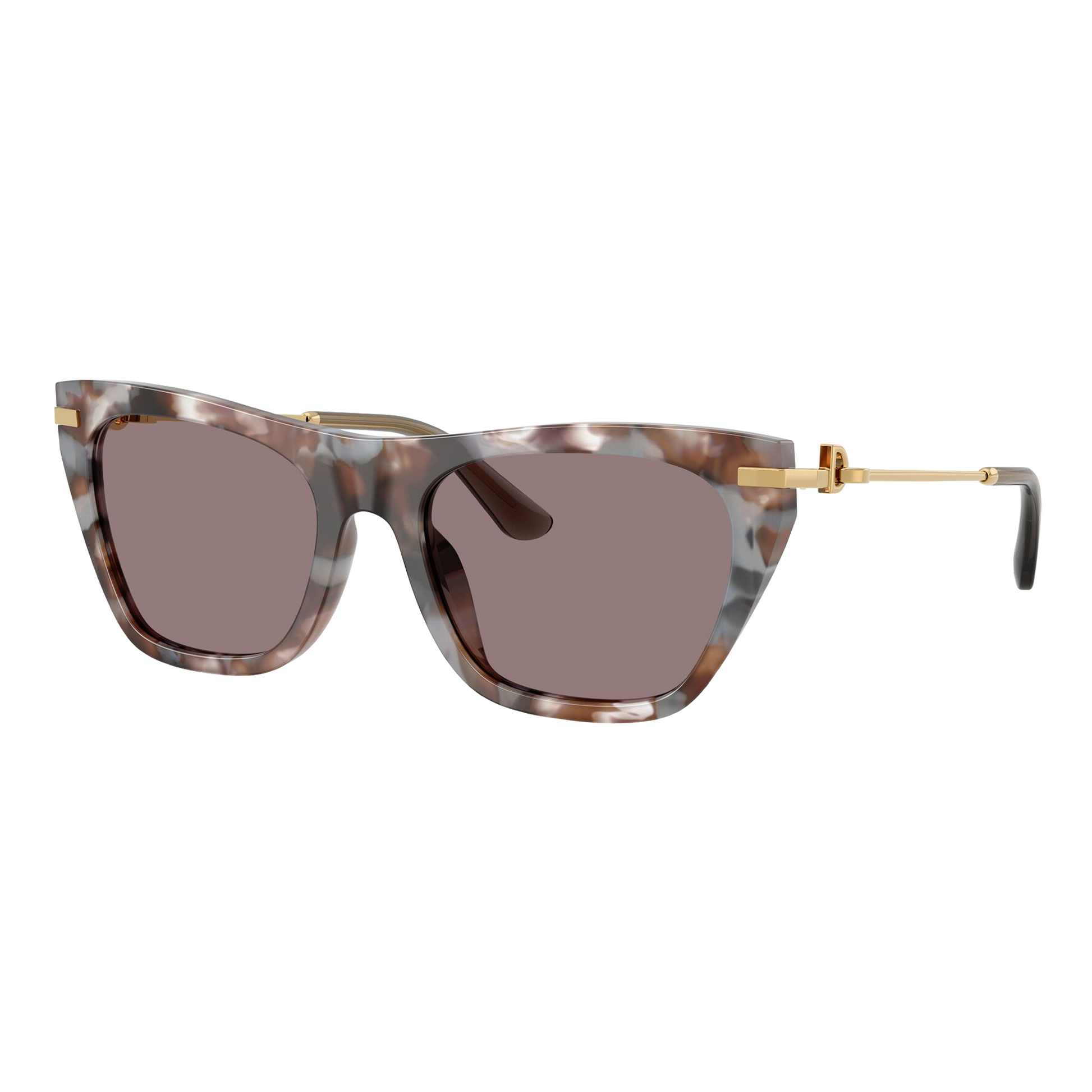 Dolce & Gabbana Women's DG4511 Sunglasses