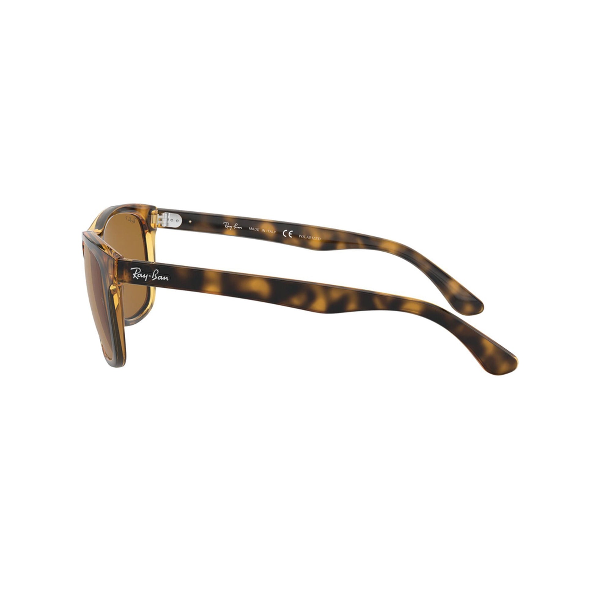 Ray-Ban Polarized RB4181 Sunglasses