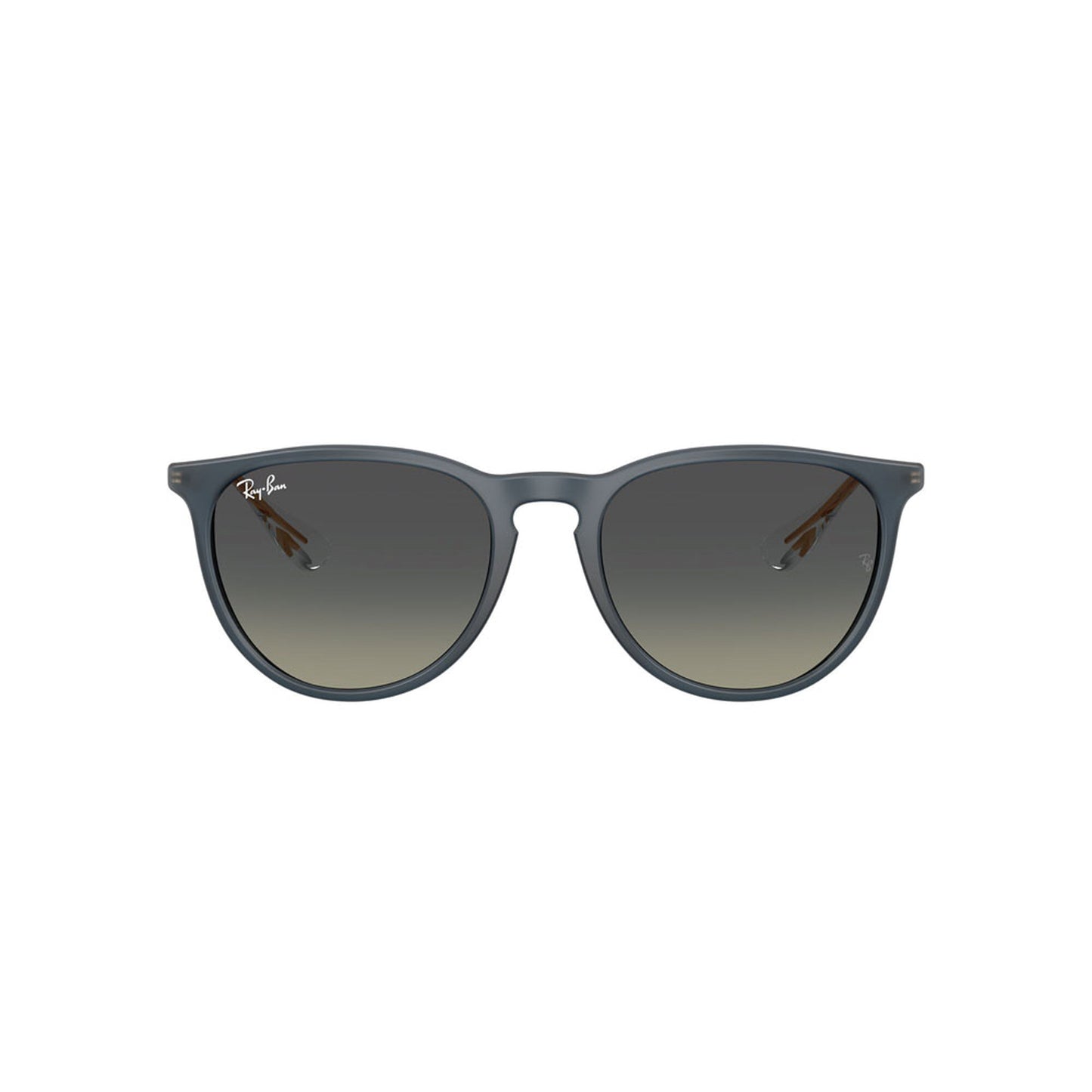 Ray-Ban Women's Erika Classic Sunglasses