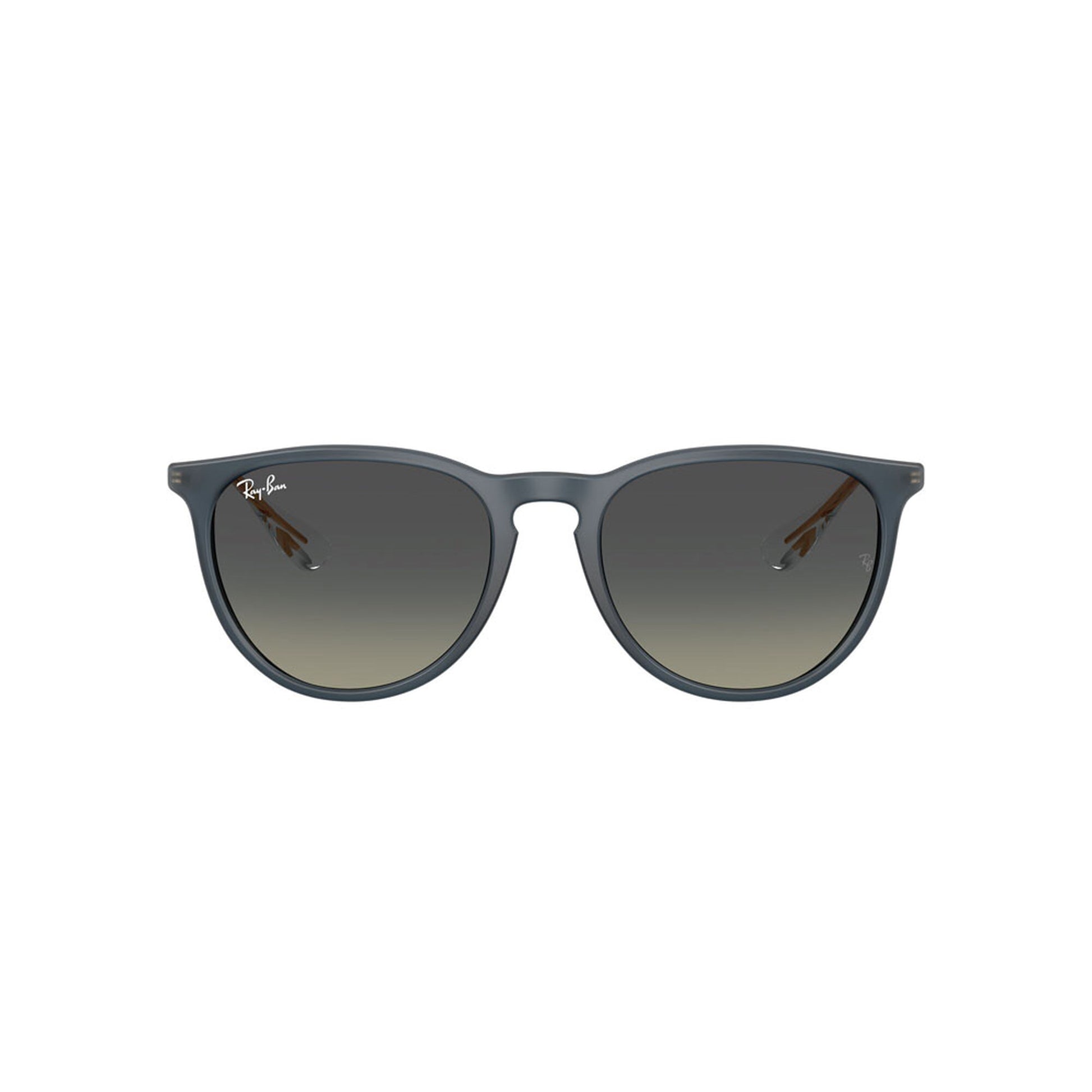 Ray-Ban Women's Erika Classic Sunglasses