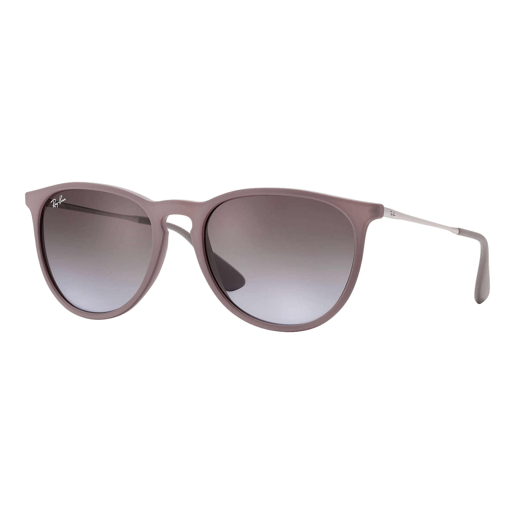 Ray-Ban Women's Erika Classic Sunglasses