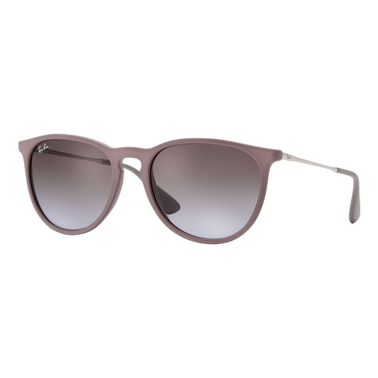Ray-Ban Women's Erika Classic Sunglasses
