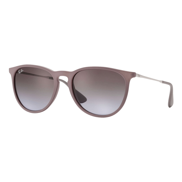 Ray-Ban Women's Erika Classic Sunglasses