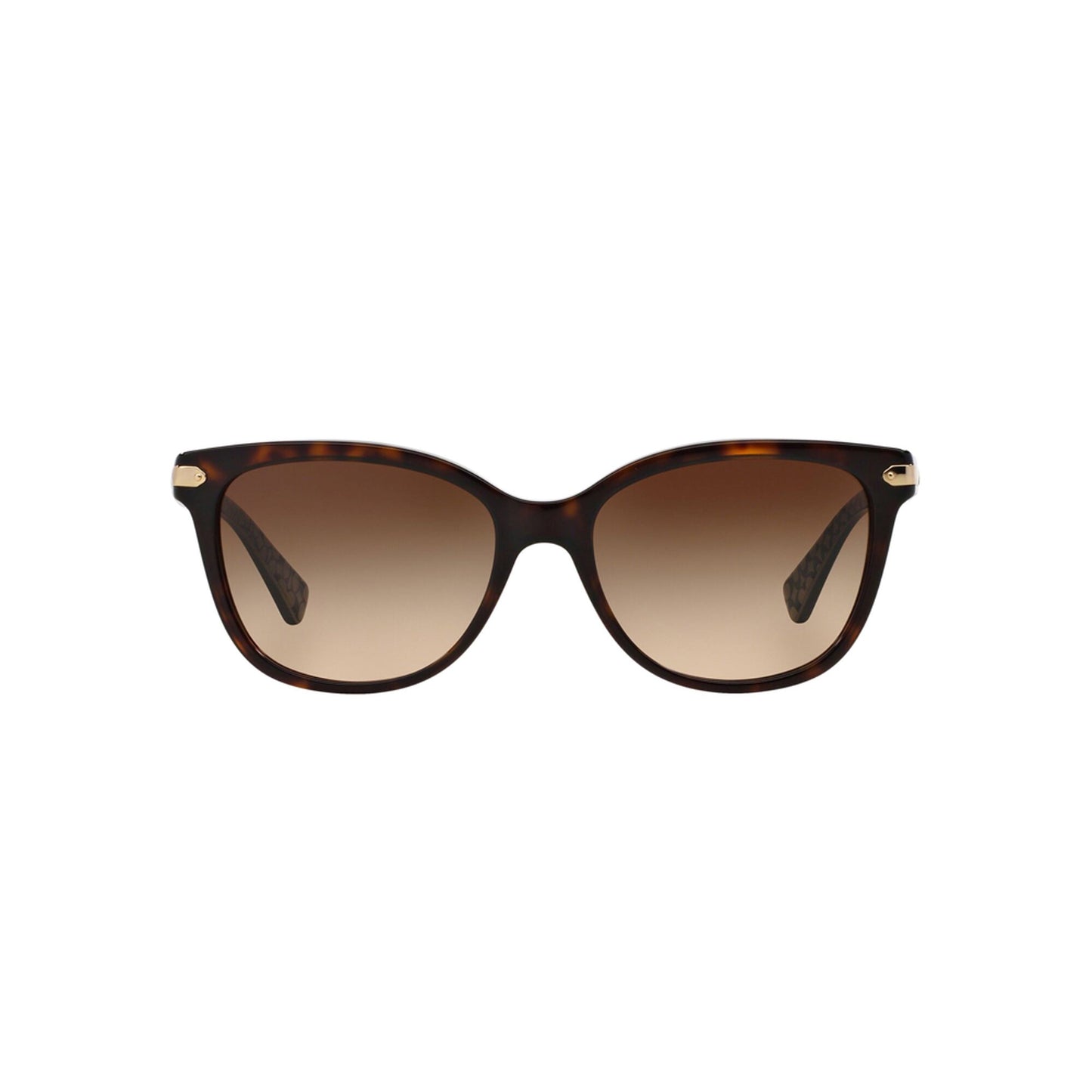 Coach Women's HC8132 Sunglasses