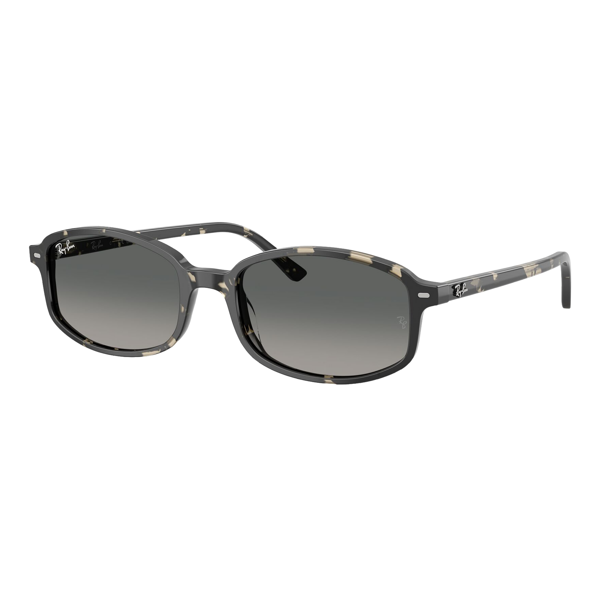 Ray-Ban Sam Sunglasses