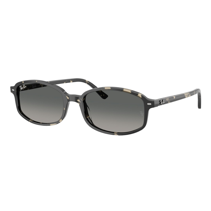 Ray-Ban Sam Sunglasses