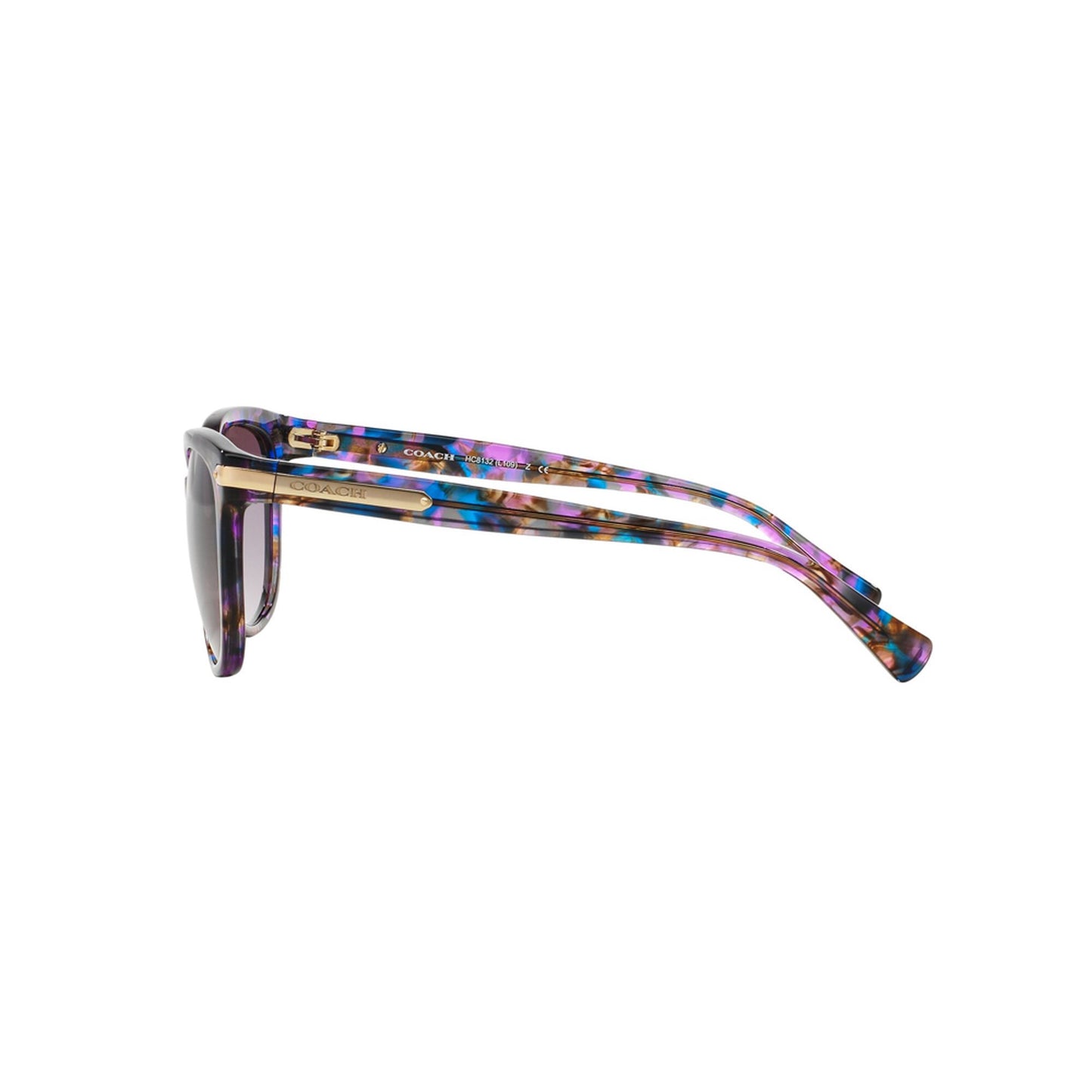 Coach Women's HC8132 Sunglasses