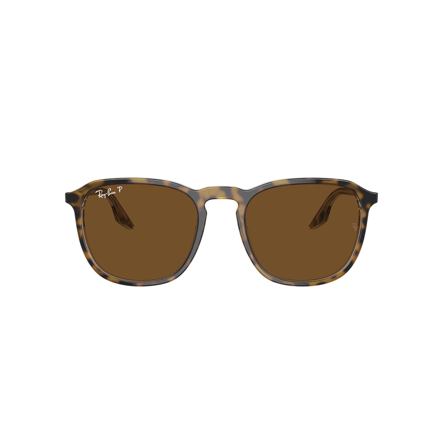 Ray-Ban Polarized RB2203 Sunglasses