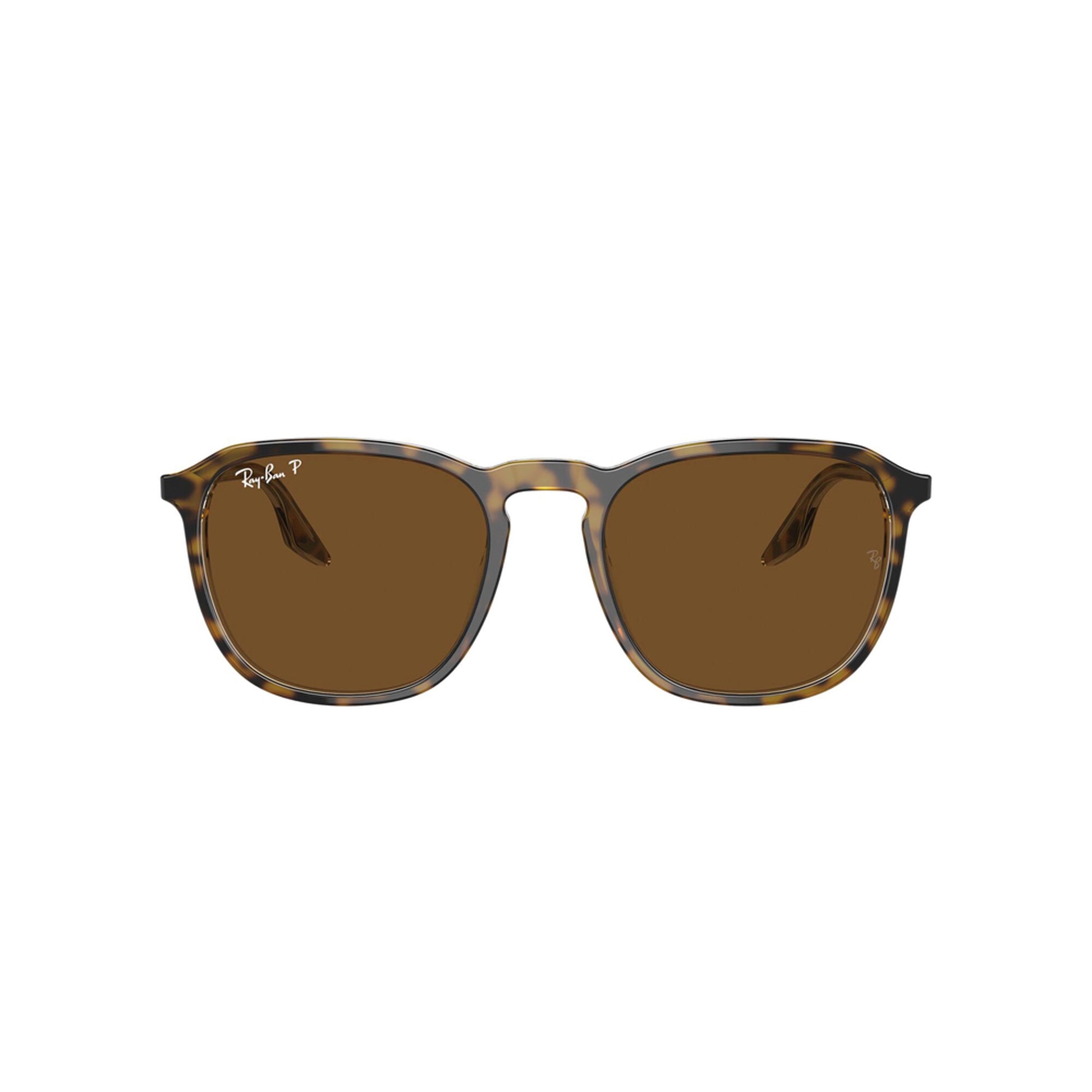 Ray-Ban Polarized RB2203 Sunglasses