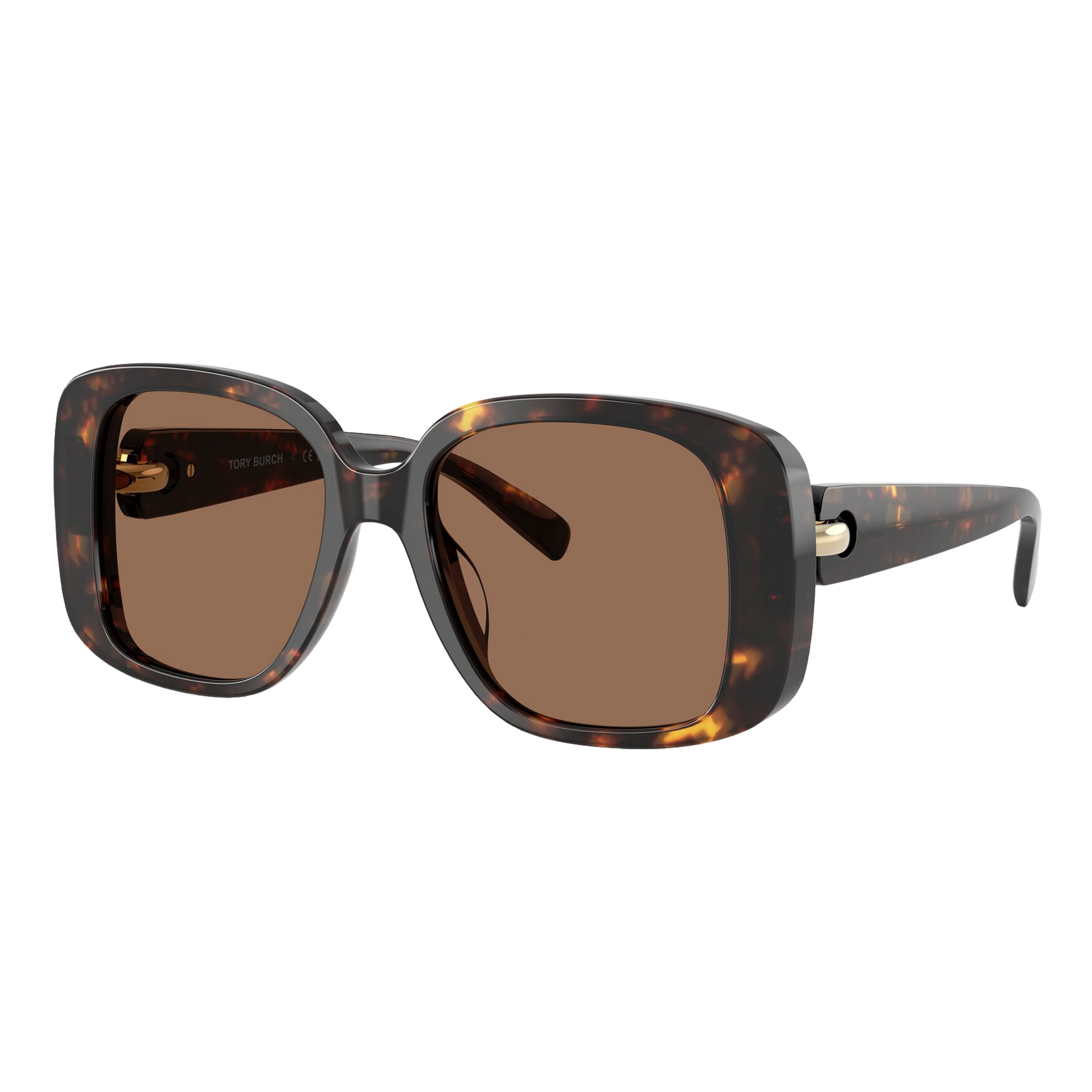 Tory Burch Women's Pierced Oversized Square Sunglasses