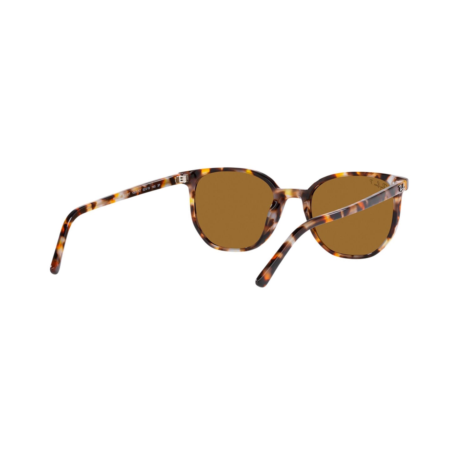 Ray-Ban Polarized Elliot Sunglasses