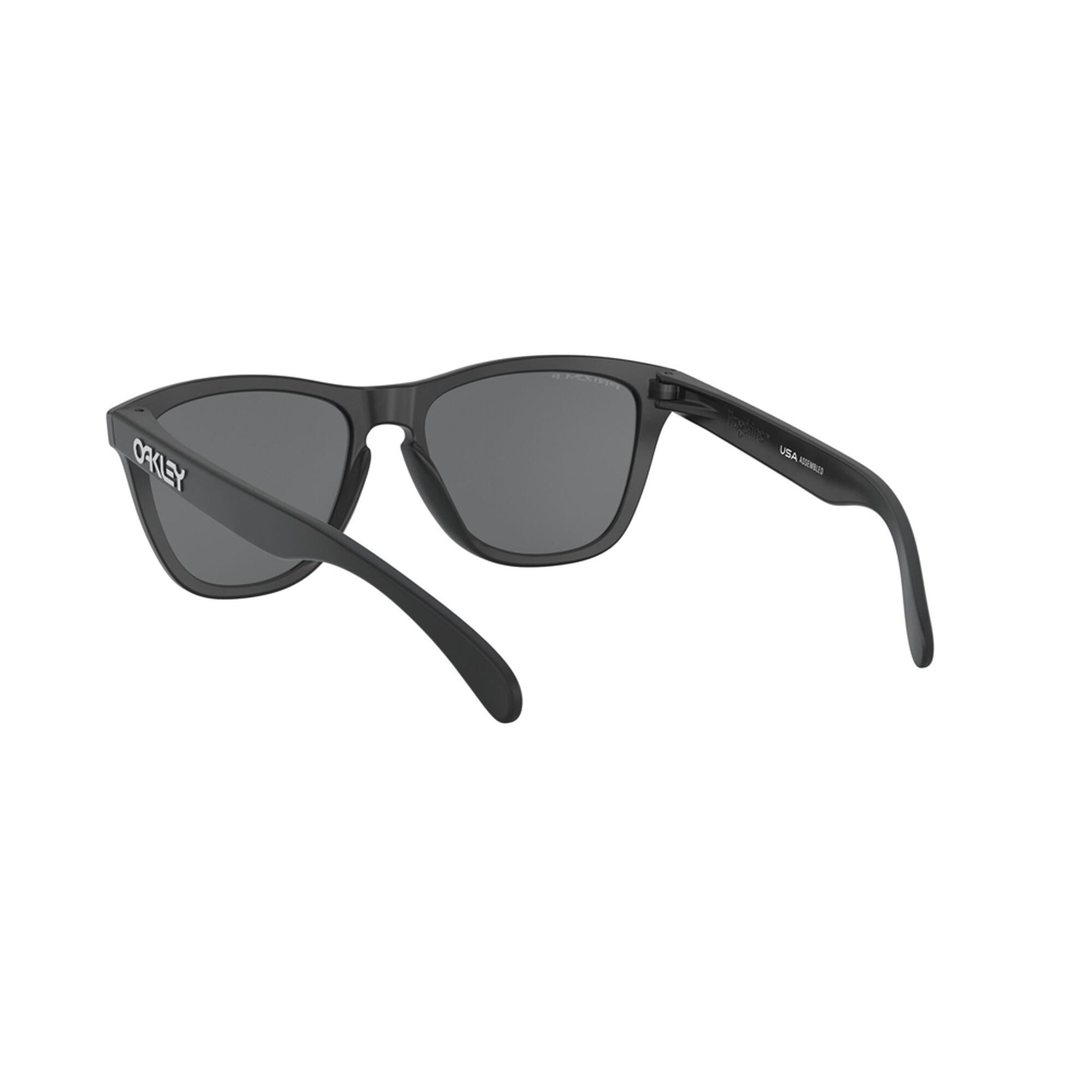 Oakley Polarized Frogskins Sunglasses