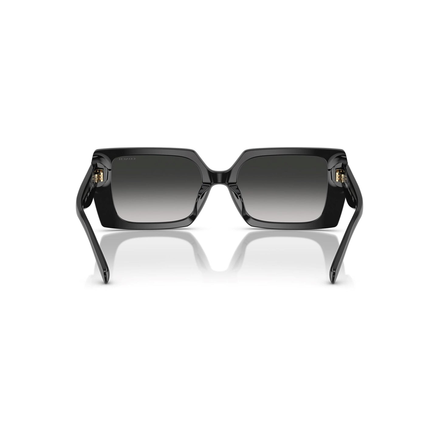 Coach Women's Rogue Oversized Square Sunglasses
