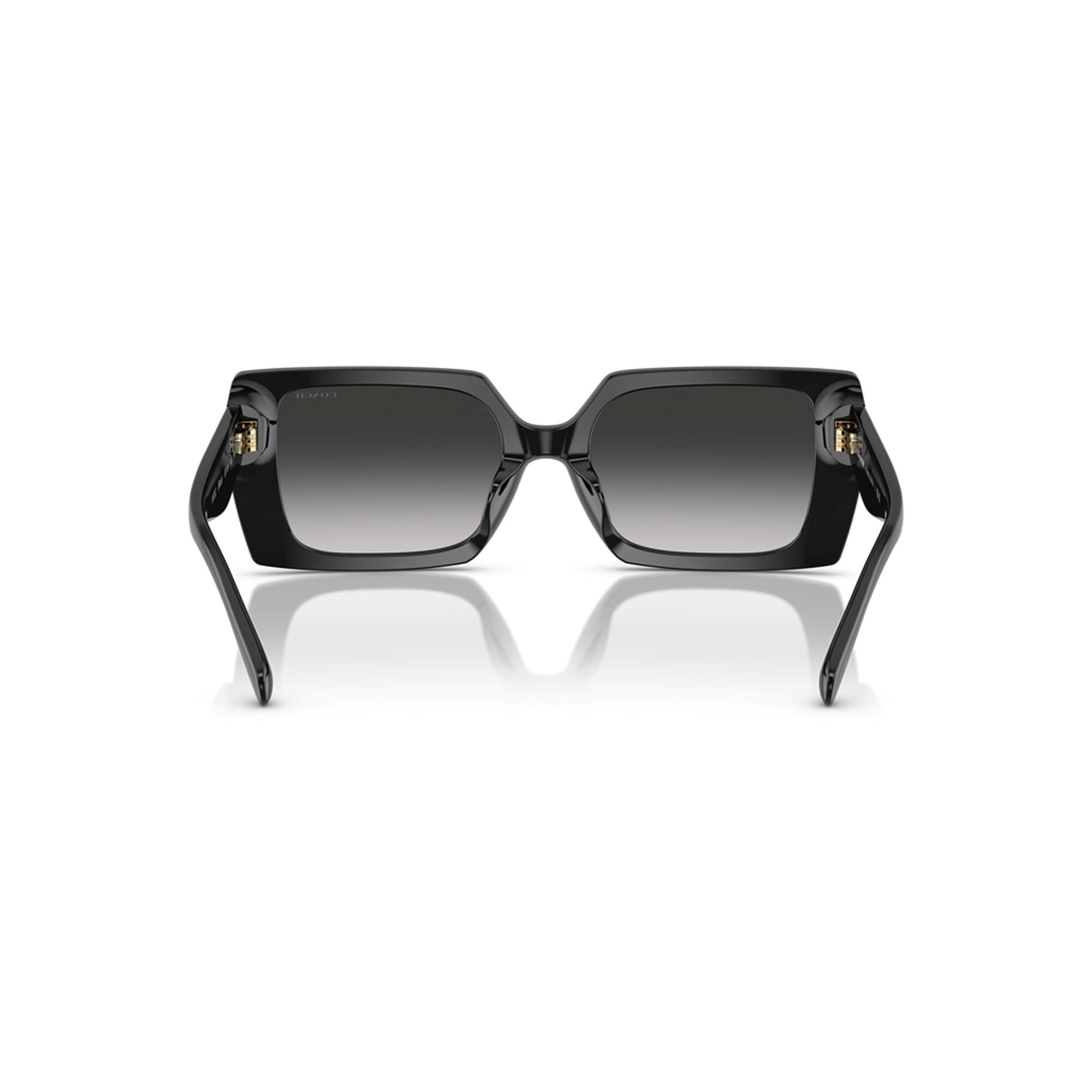 Coach Women's Rogue Oversized Square Sunglasses