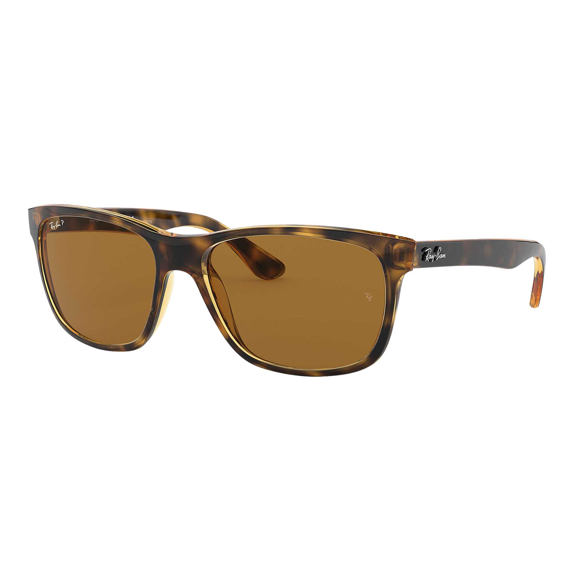 Ray-Ban Polarized RB4181 Sunglasses