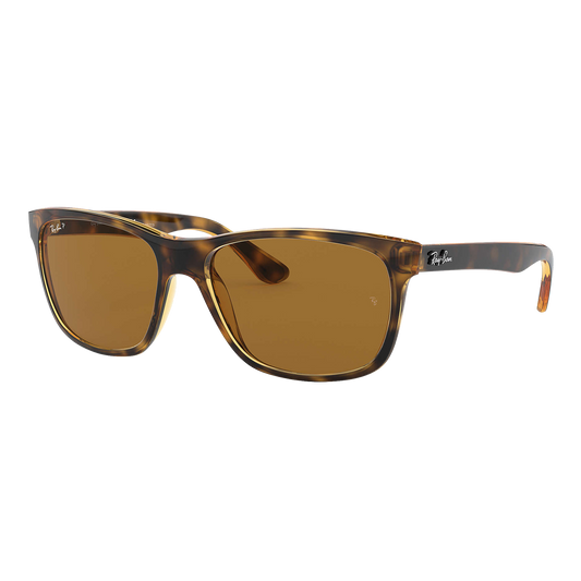 Ray-Ban Polarized RB4181 Sunglasses