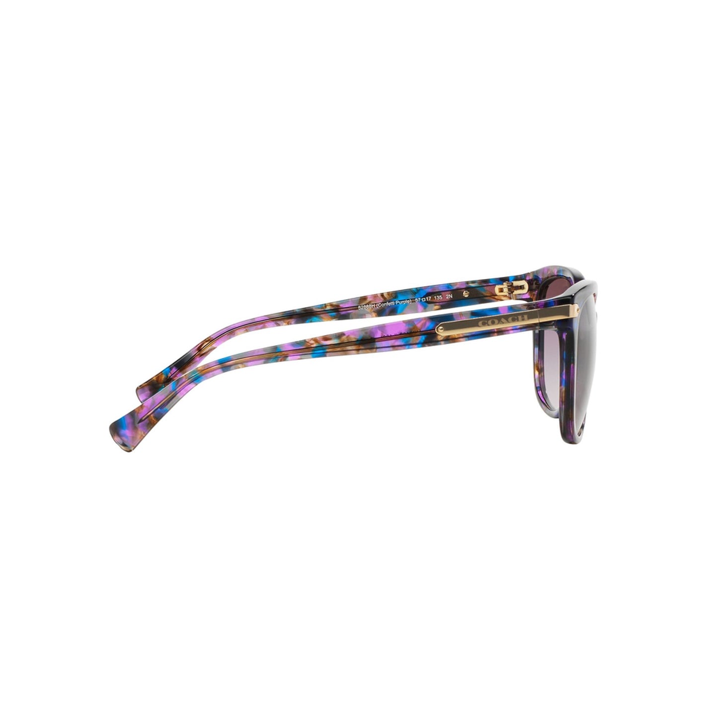 Coach Women's HC8132 Sunglasses