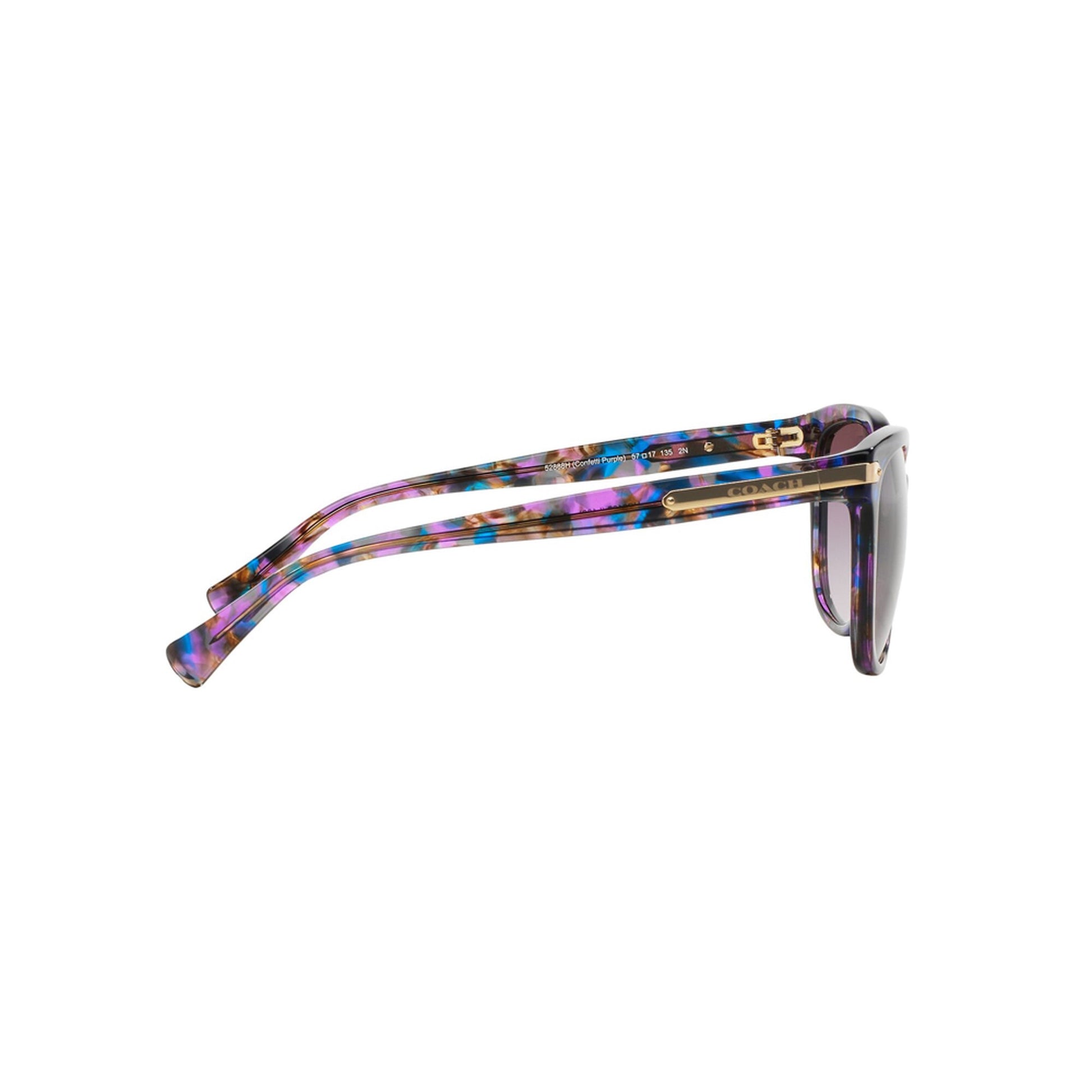 Coach Women's HC8132 Sunglasses