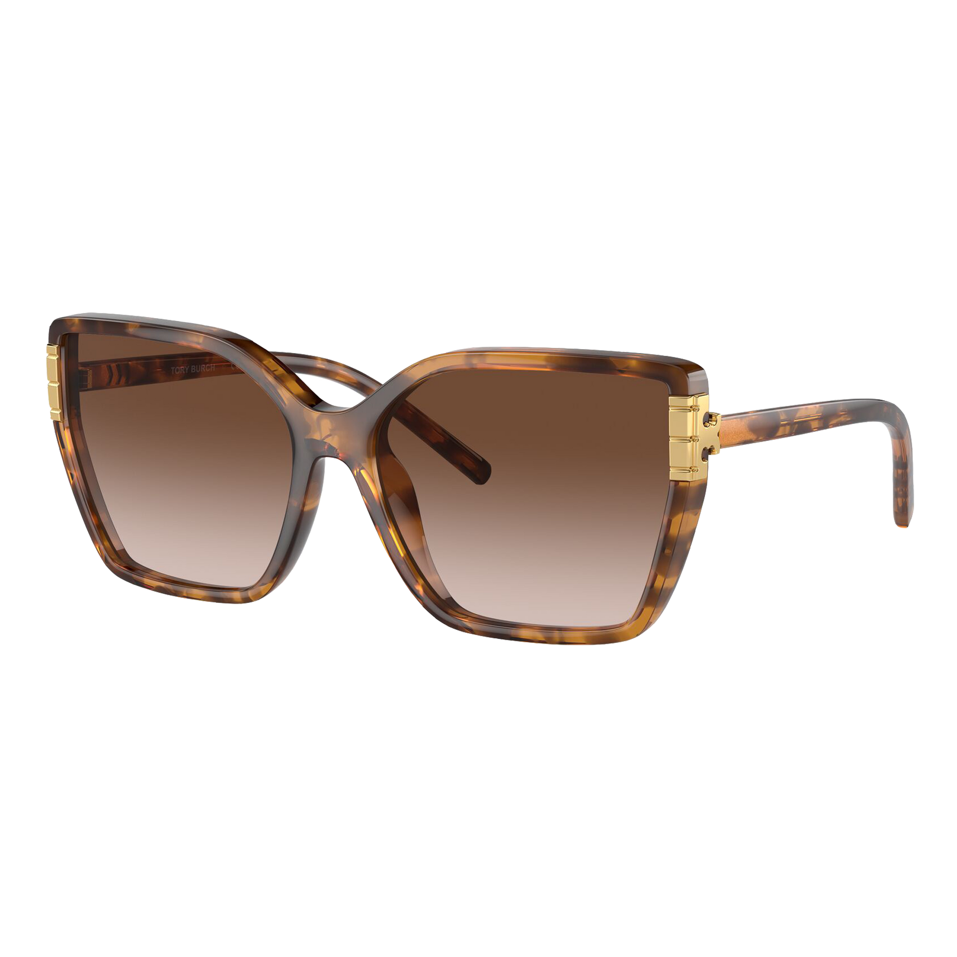 Tory Burch Women's Eleanor Oversized Cat-Eye Sunglasses