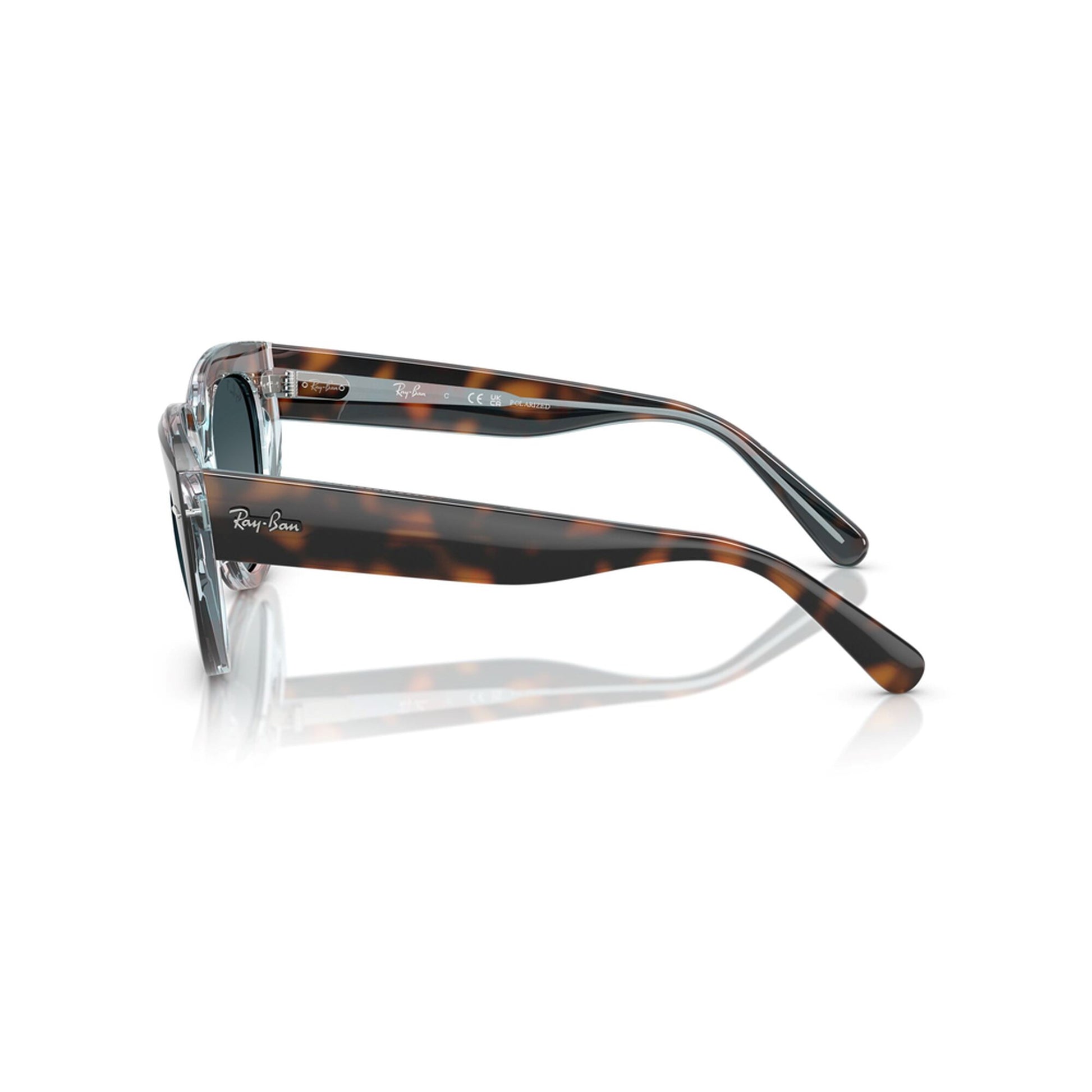 Ray-Ban Women's Polarized Doreen Sunglasses