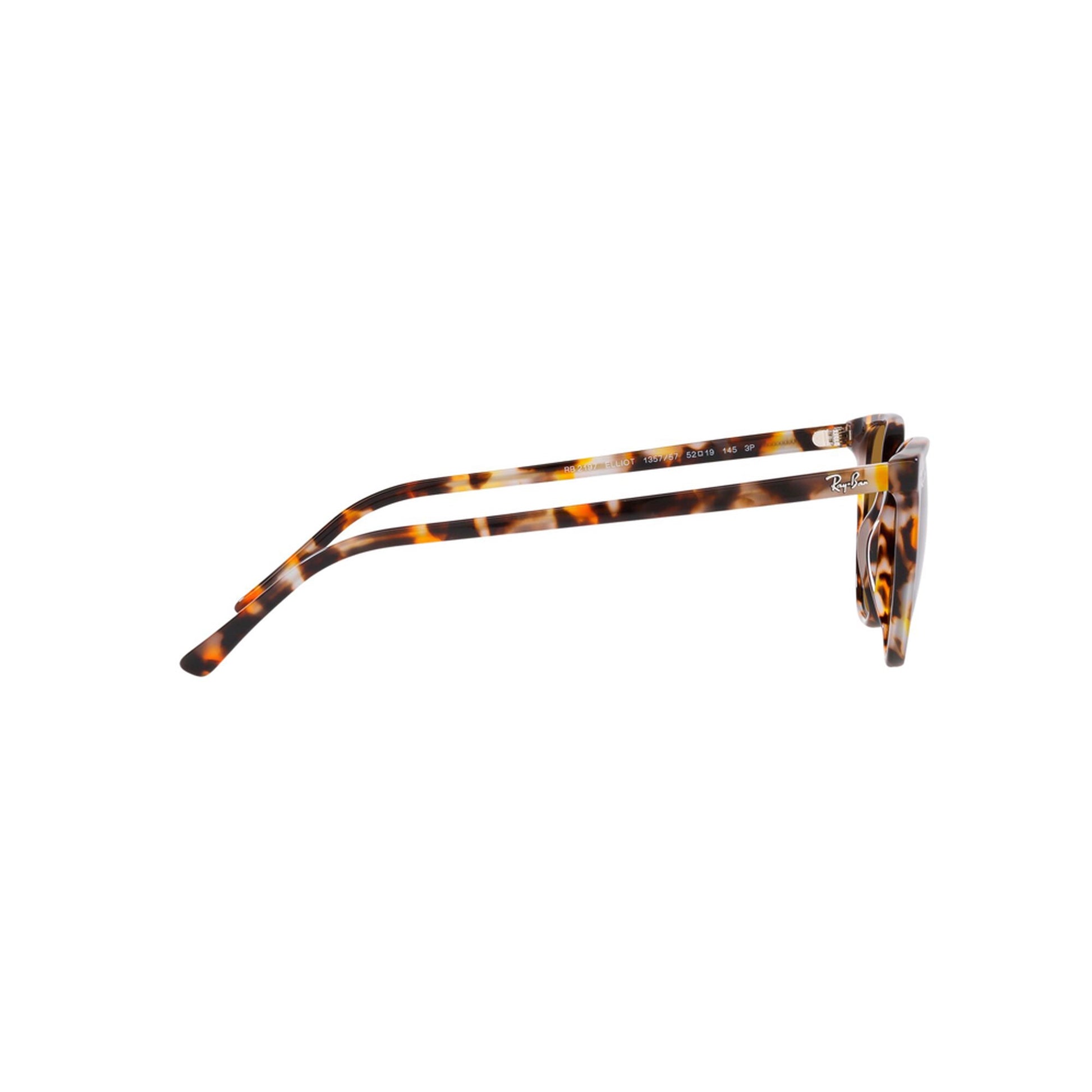 Ray-Ban Polarized Elliot Sunglasses