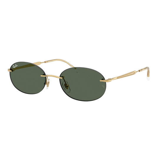 Ray-Ban RB3767 Sunglasses