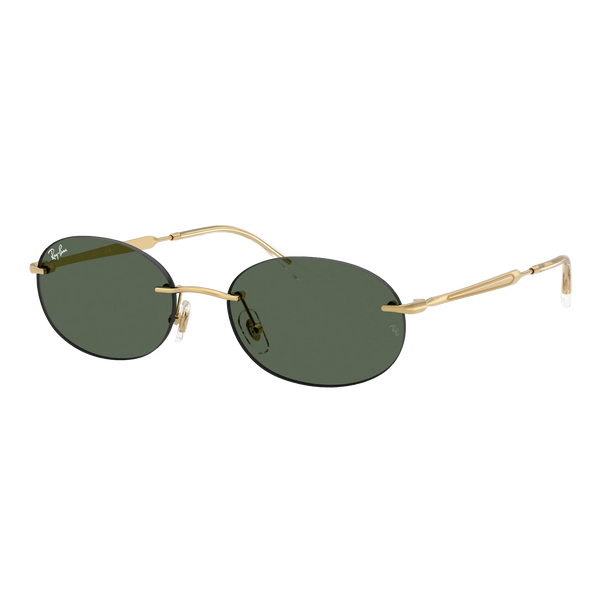 Ray-Ban RB3767 Sunglasses