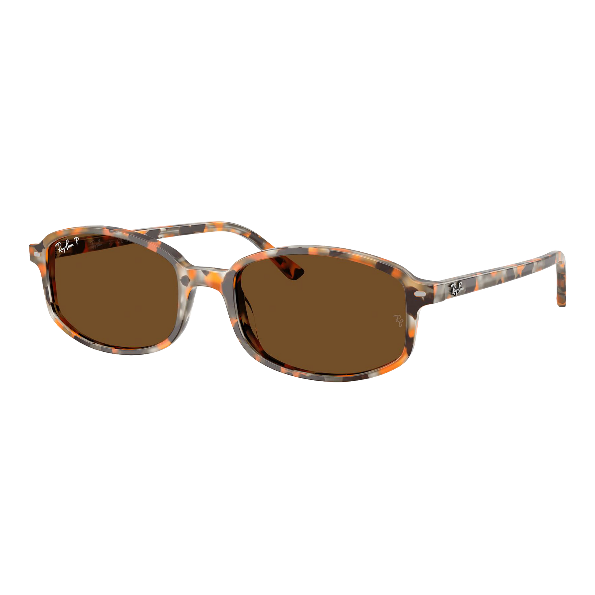 Ray-Ban Polarized Sam Sunglasses