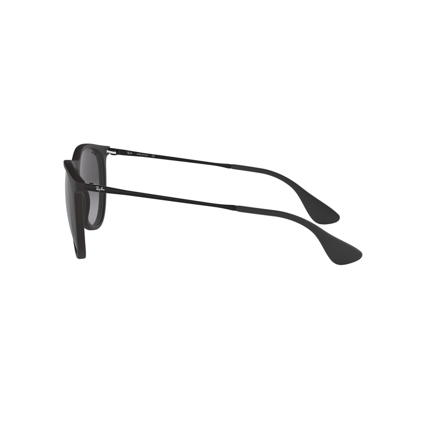 Ray-Ban Women's Erika Sunglasses