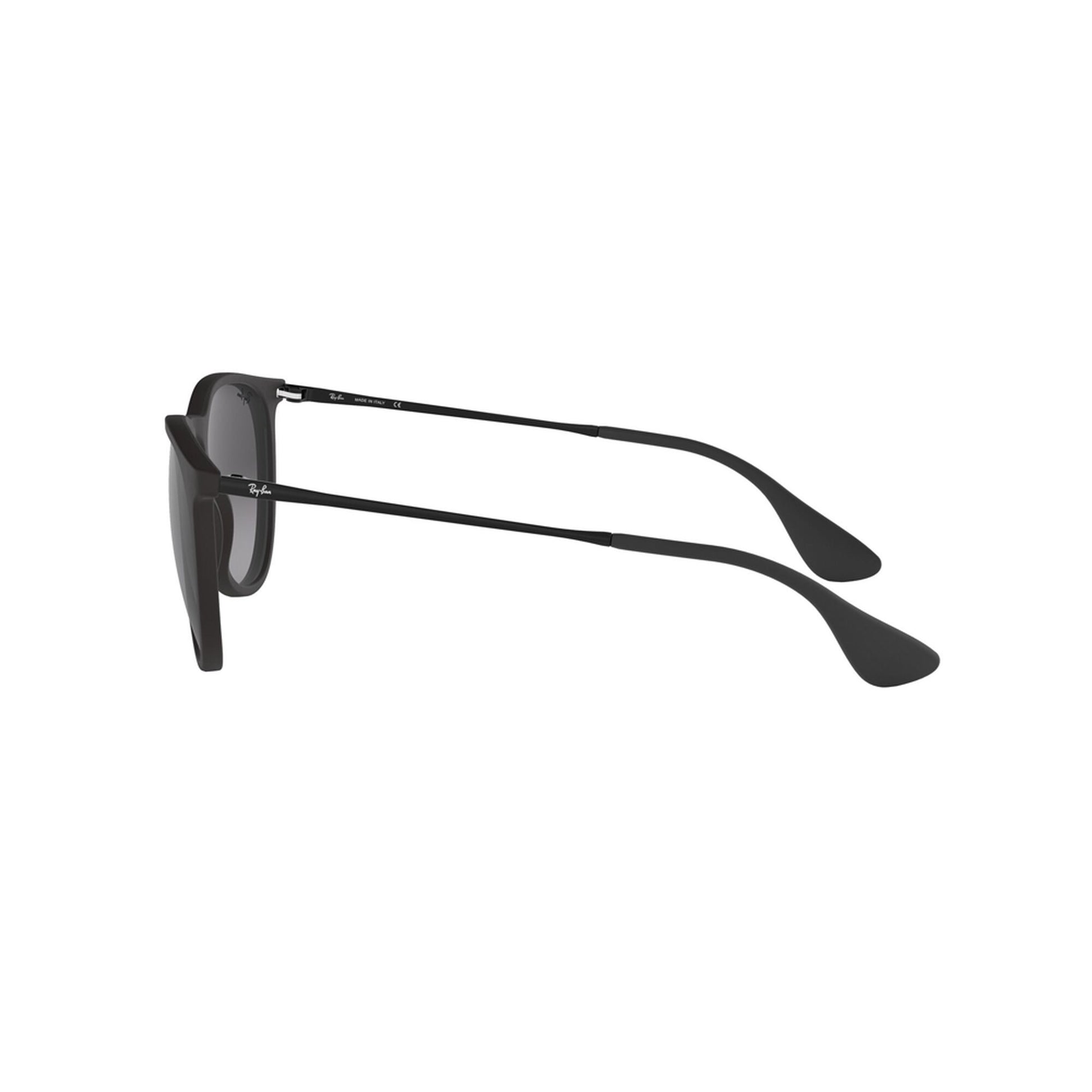 Ray-Ban Women's Erika Sunglasses