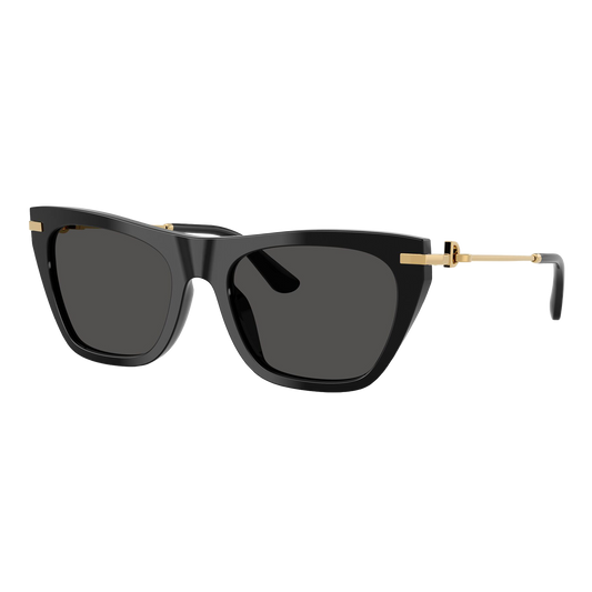 Dolce & Gabbana Women's DG4511 Sunglasses
