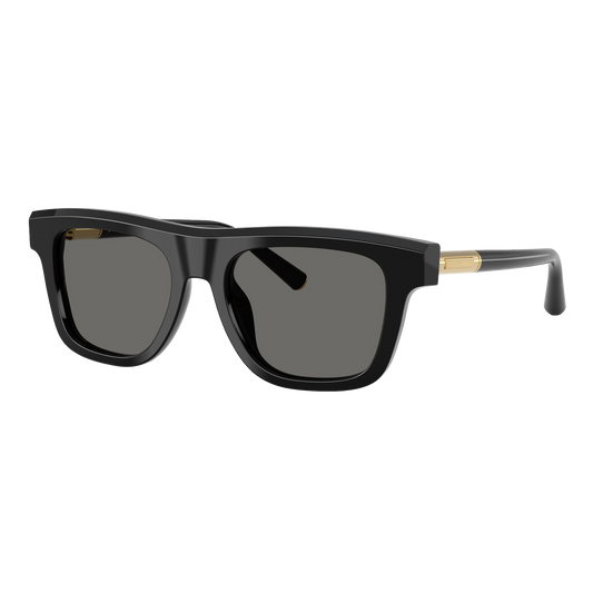 Dolce & Gabbana DG4521 Sunglasses