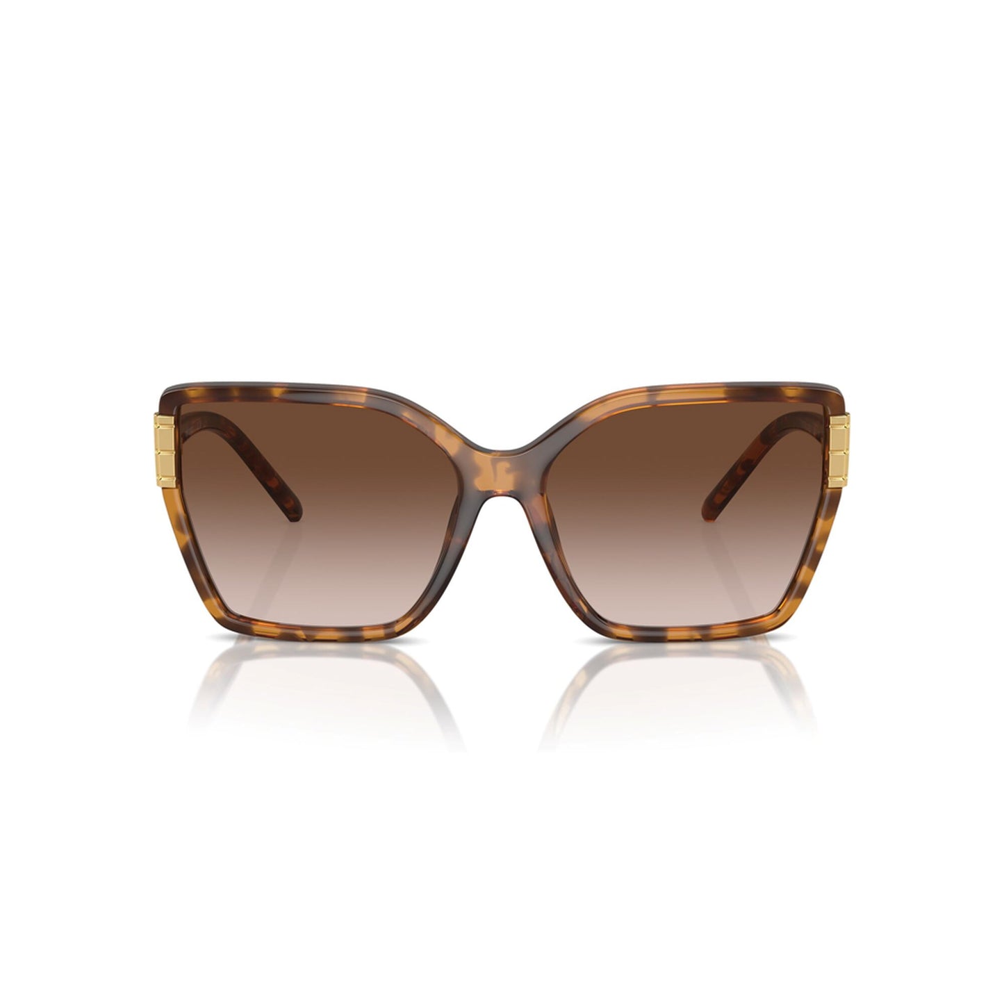 Tory Burch Women's Eleanor Oversized Cat-Eye Sunglasses