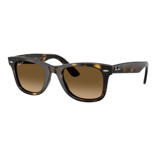 Ray-Ban Polarized Wayfarer Ease Sunglasses