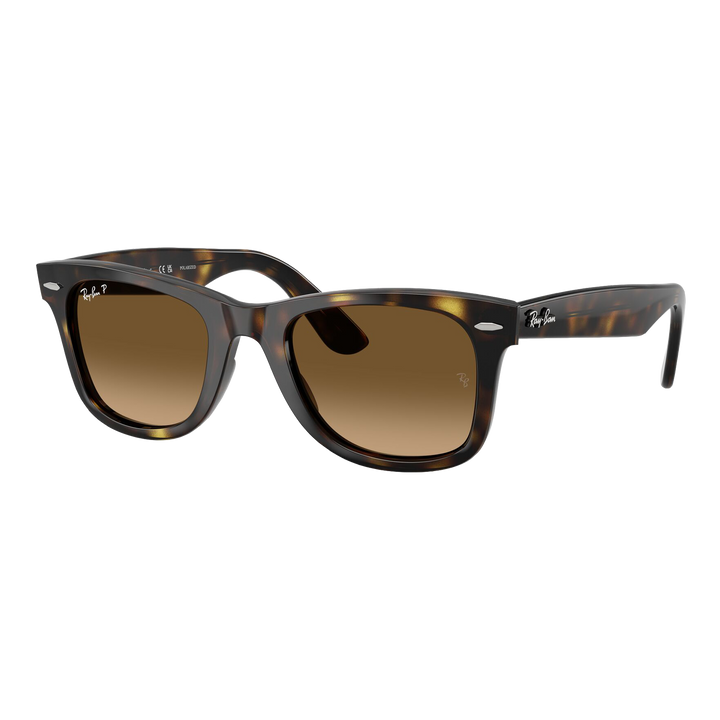 Ray-Ban Polarized Wayfarer Ease Sunglasses