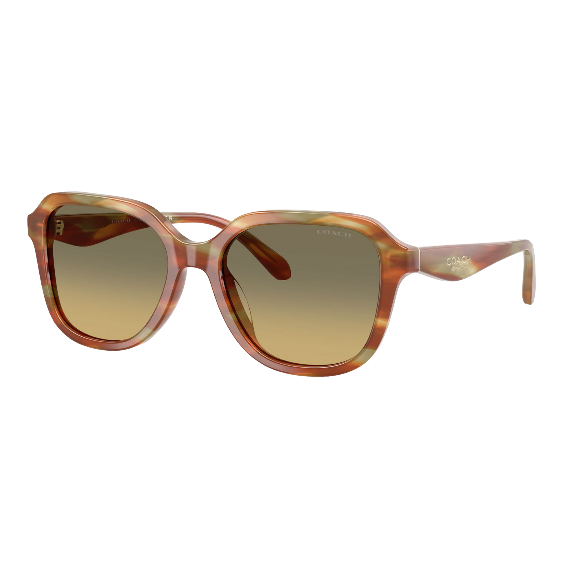 Coach Women's Oval Square Sunglasses
