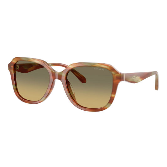 Coach Women's Oval Square Sunglasses