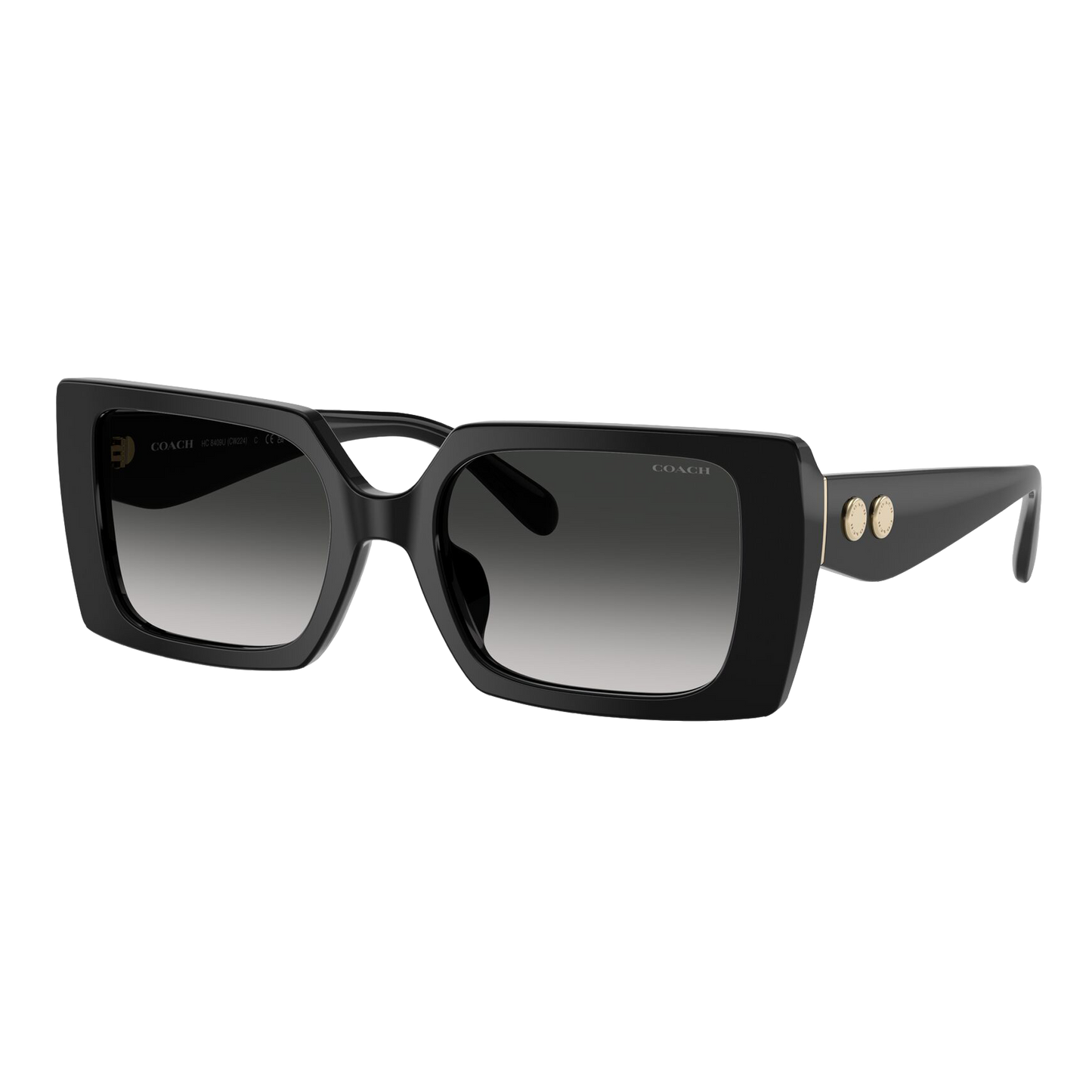 Coach Women's Rogue Oversized Square Sunglasses
