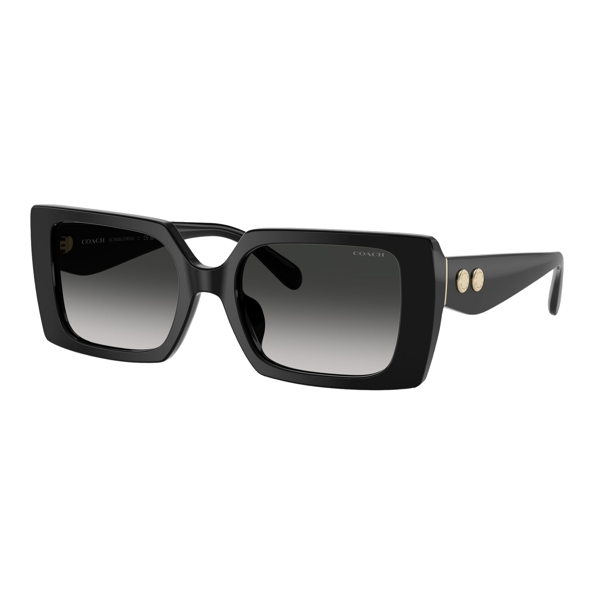 Coach Women's Rogue Oversized Square Sunglasses