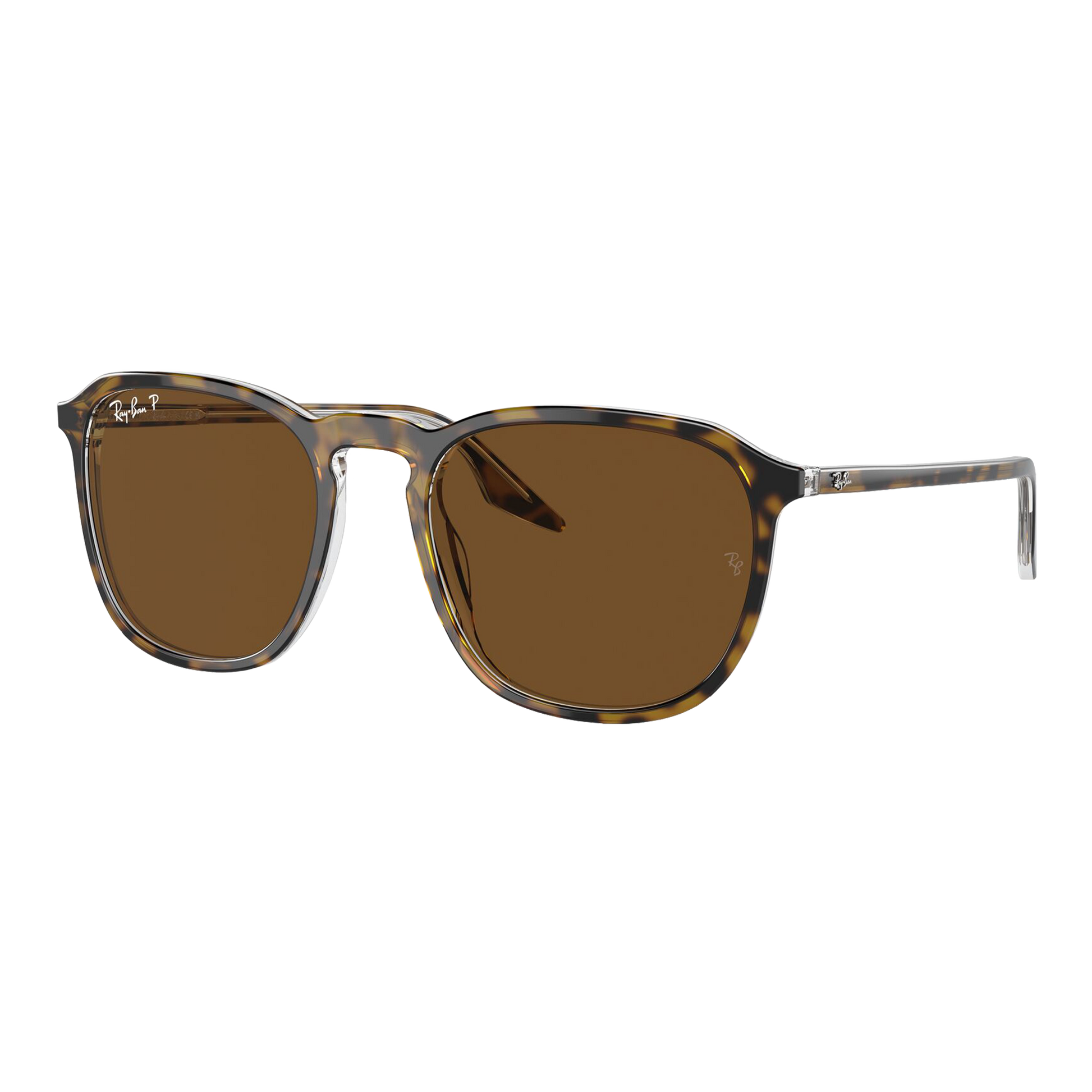 Ray-Ban Polarized RB2203 Sunglasses